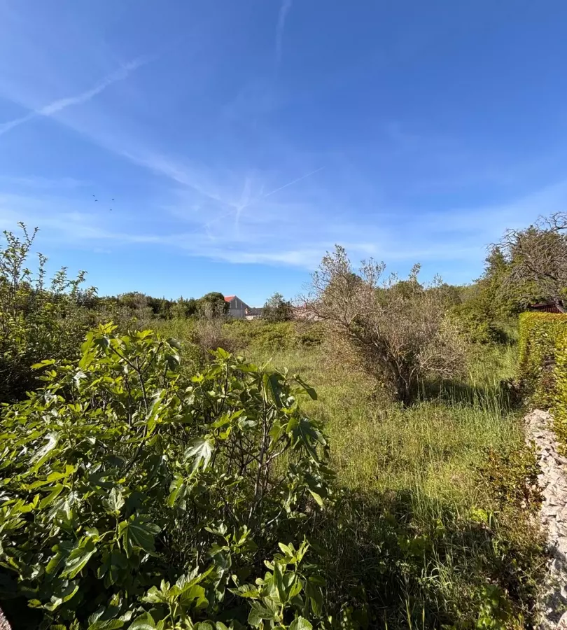 Land In Kožino, Croatia (1.500 M²)