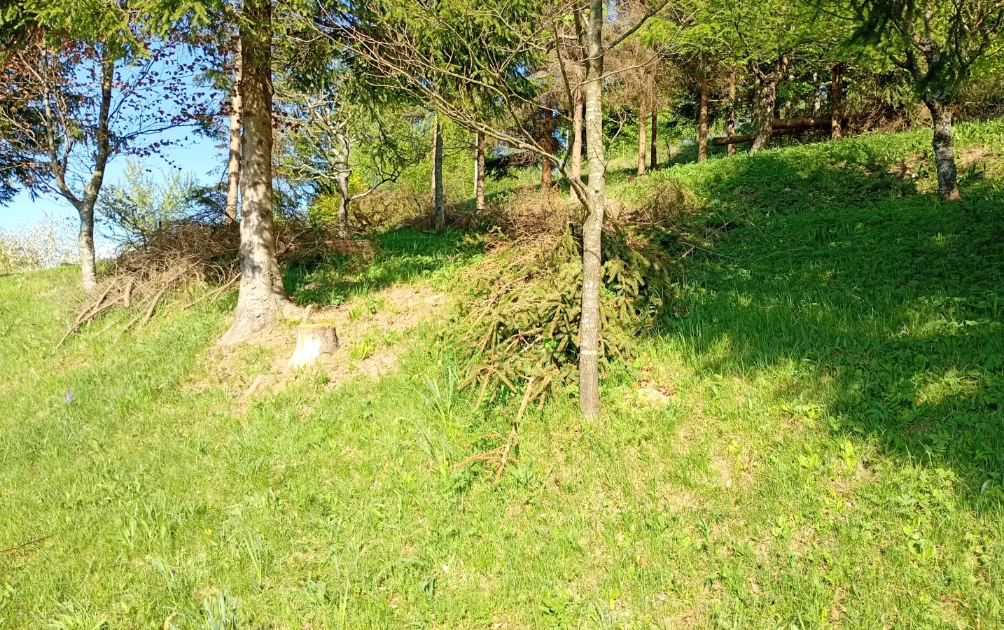 Land In Fužine, Croatia (2.900 M²)