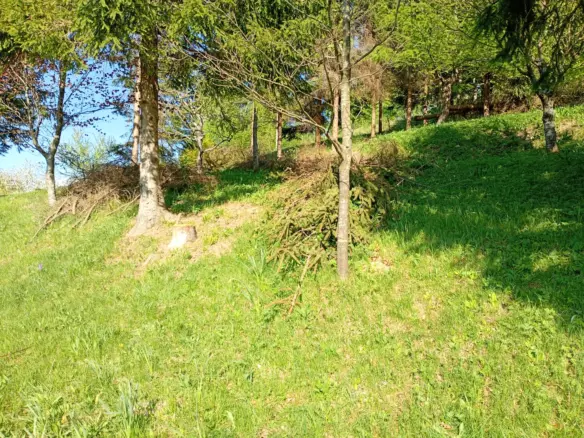 Land In Fužine, Croatia (2.900 M²)