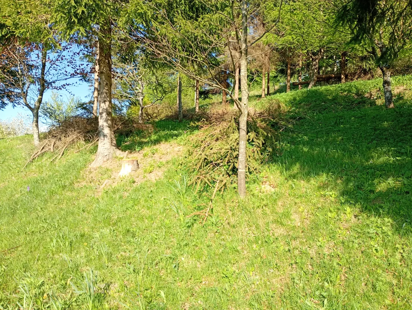 Land In Fužine, Croatia (2.900 M²)