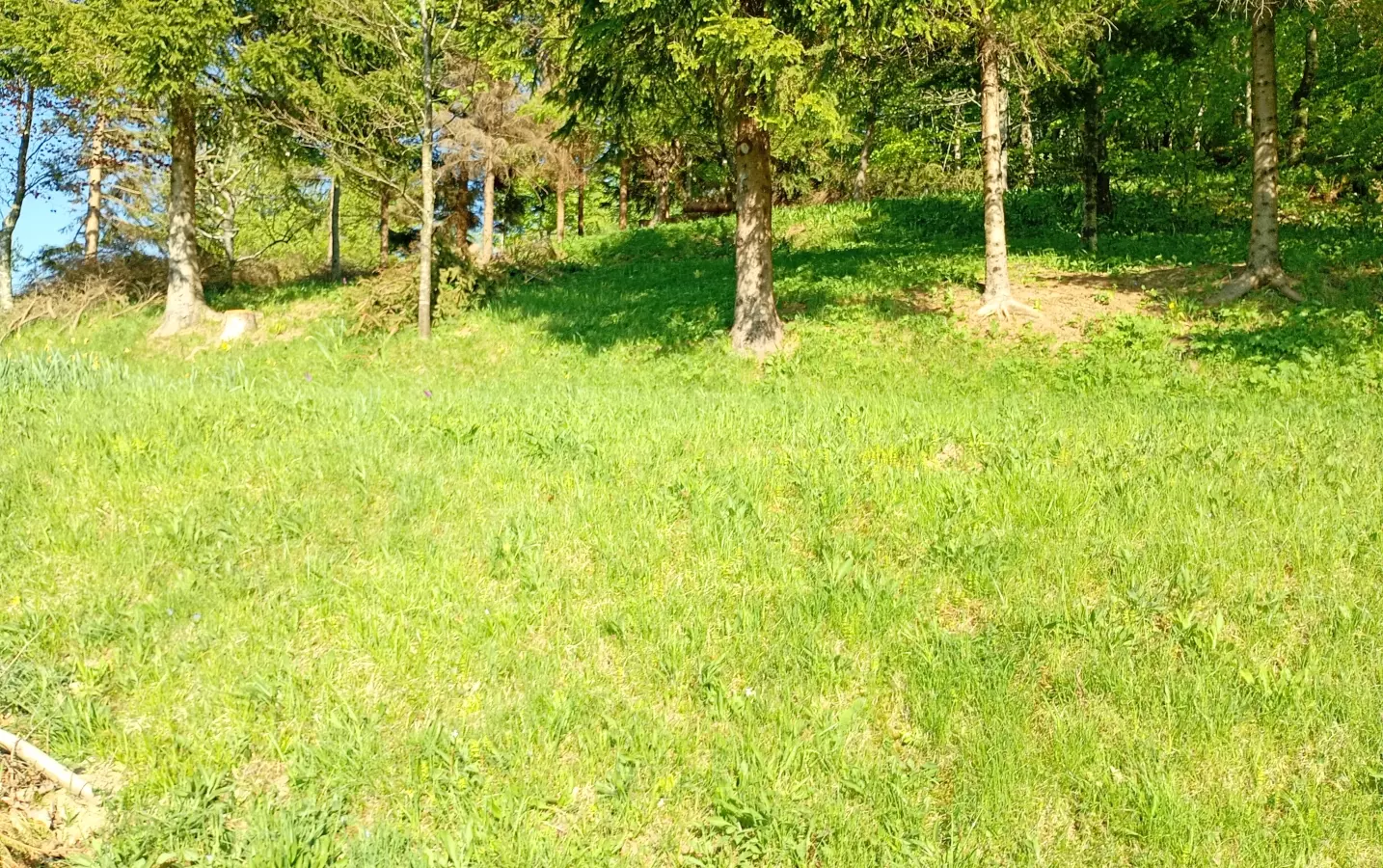 Land In Fužine, Croatia (2.900 M²)