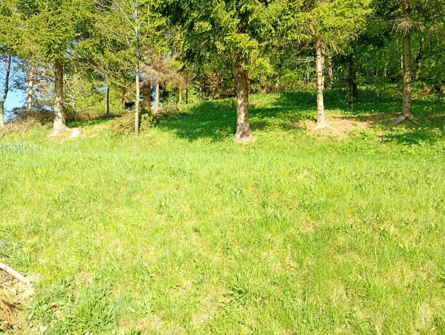 Land In Fužine, Croatia (2.900 M²)
