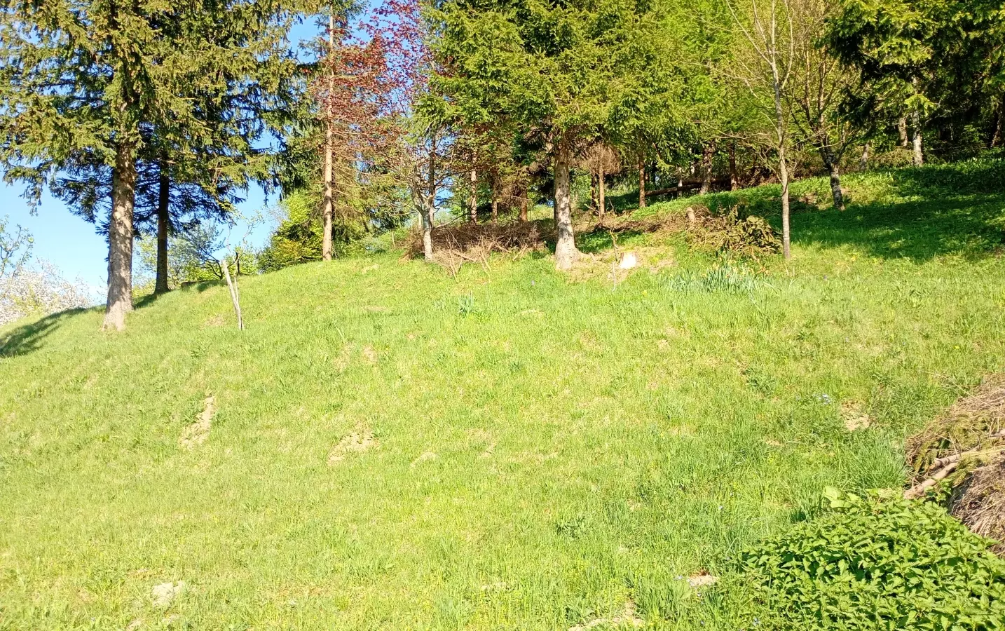 Land In Fužine, Croatia (2.900 M²)