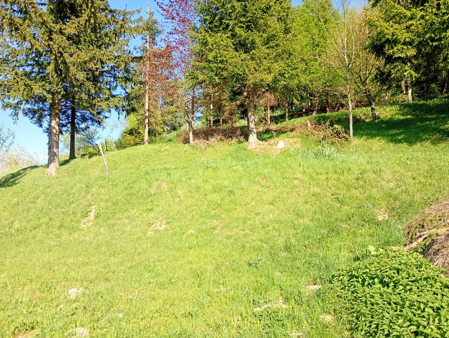 Land In Fužine, Croatia (2.900 M²)