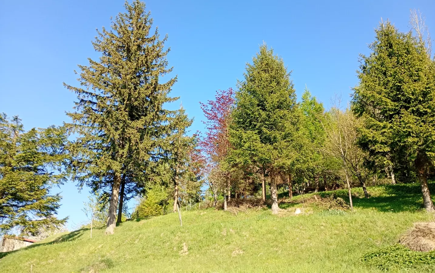Land In Fužine, Croatia (2.900 M²)