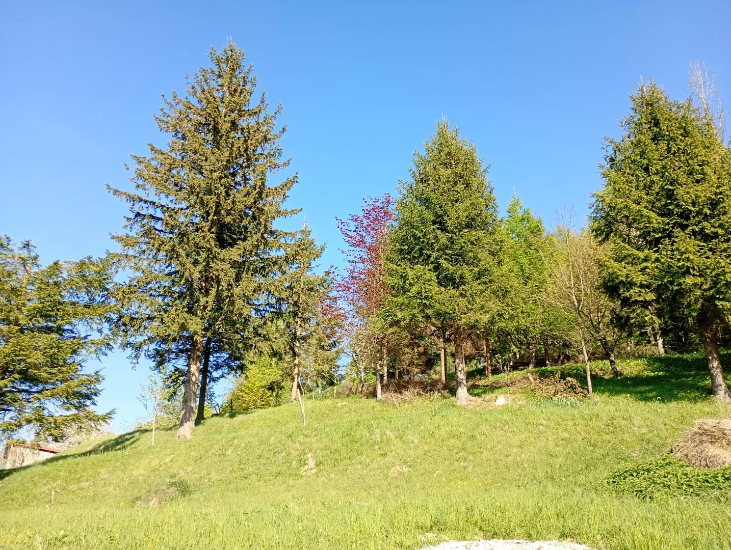 Land In Fužine, Croatia (2.900 M²)