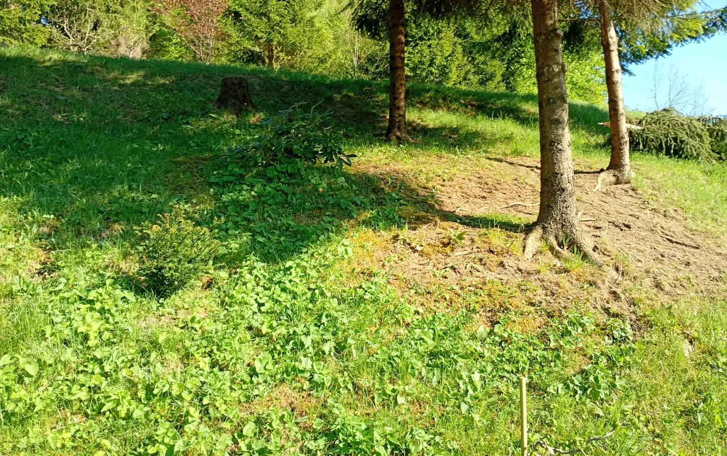 Land In Fužine, Croatia (2.900 M²)