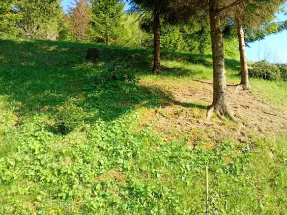 Land In Fužine, Croatia (2.900 M²)