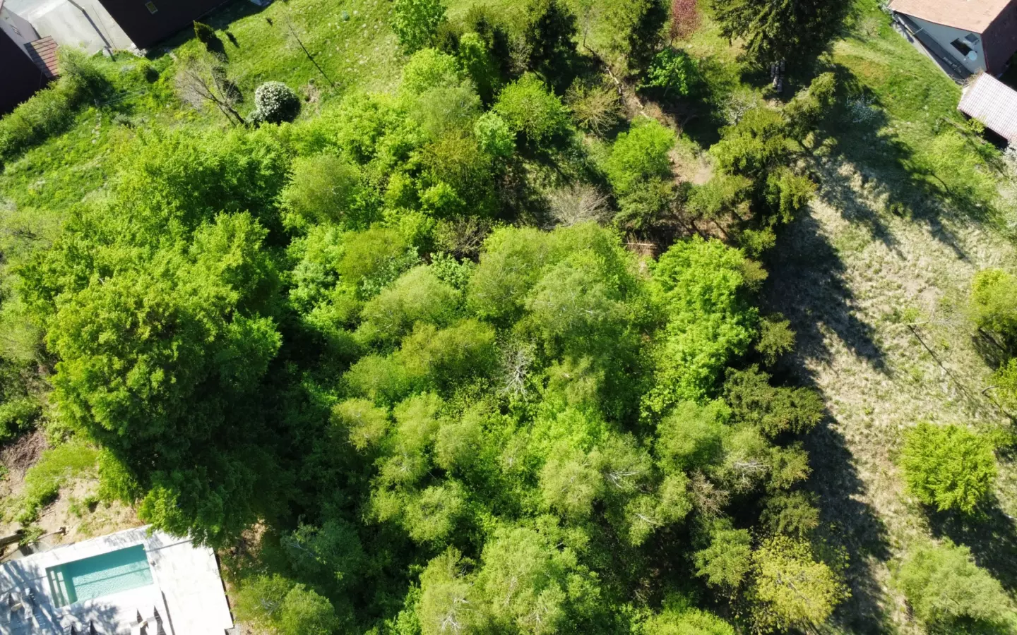 Land In Fužine, Croatia (2.900 M²)
