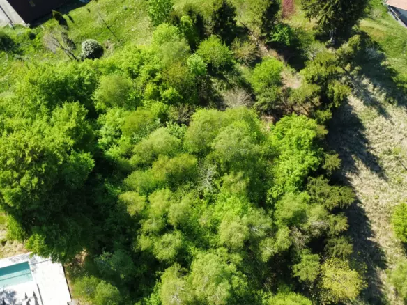Land In Fužine, Croatia (2.900 M²)