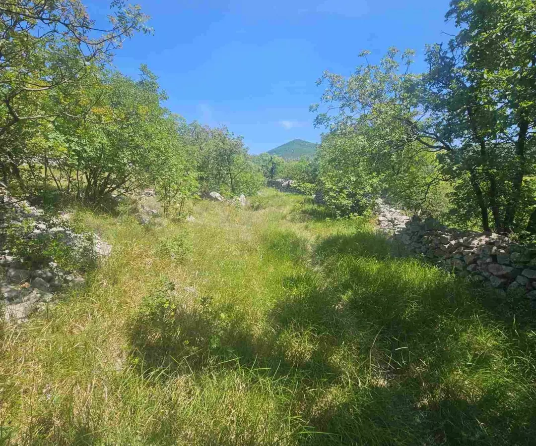Land In Krasica, Croatia (2.160 M²)