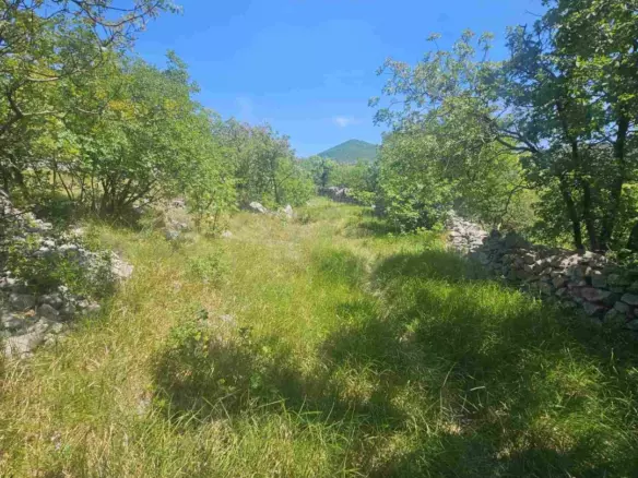 Land In Krasica, Croatia (2.160 M²)