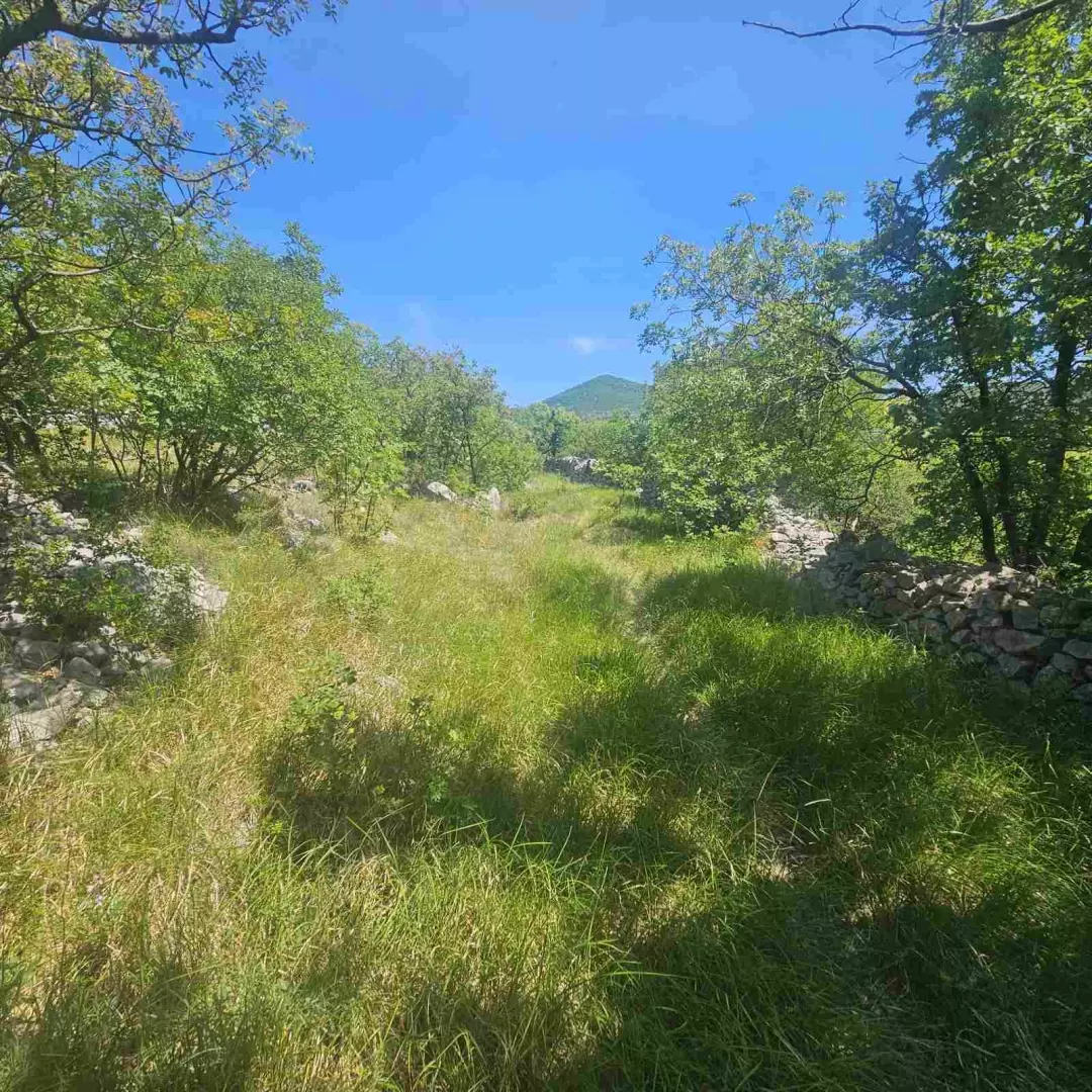 Land In Krasica, Croatia (2.160 M²)