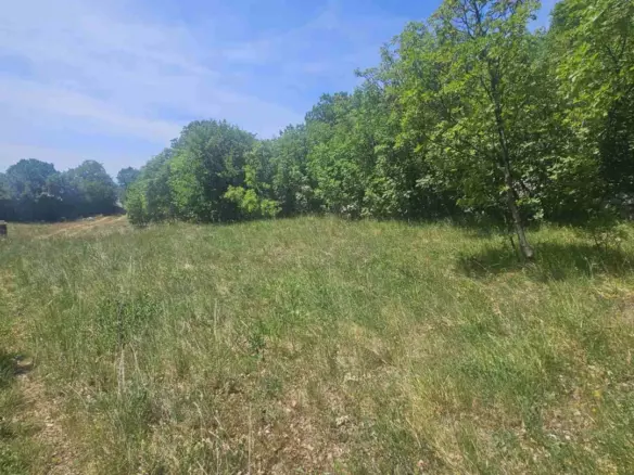 Land In Krasica, Croatia (2.160 M²)