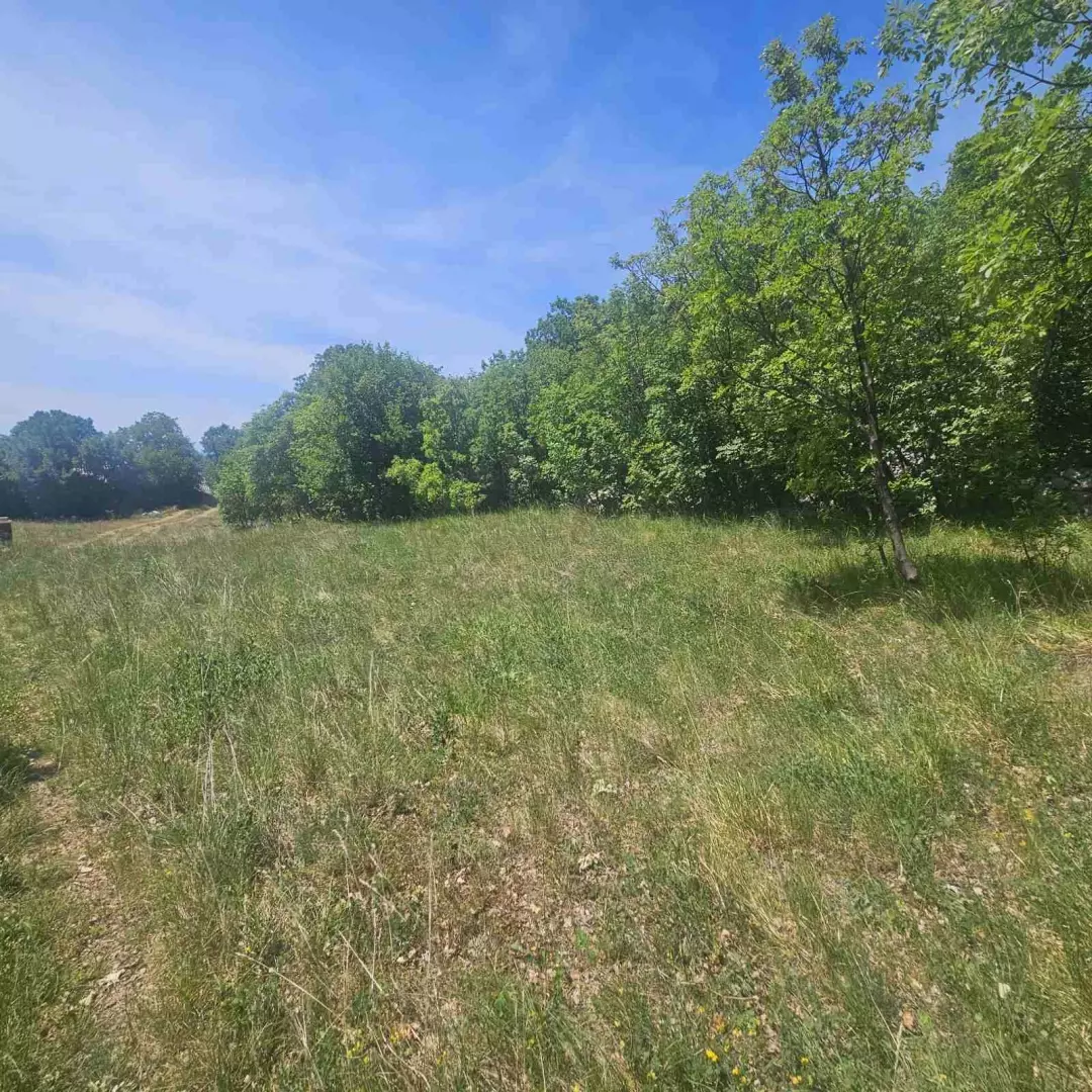 Land In Krasica, Croatia (2.160 M²)