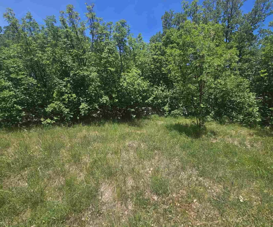 Land In Krasica, Croatia (2.160 M²)