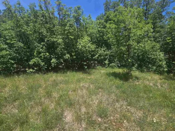 Land In Krasica, Croatia (2.160 M²)