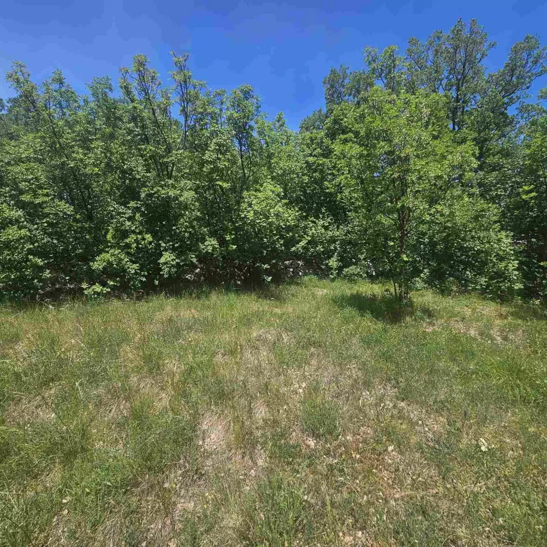Land In Krasica, Croatia (2.160 M²)