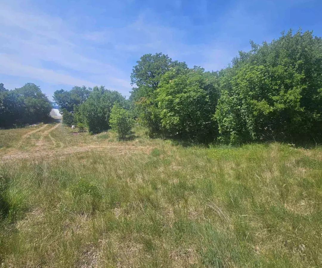 Land In Krasica, Croatia (2.160 M²)