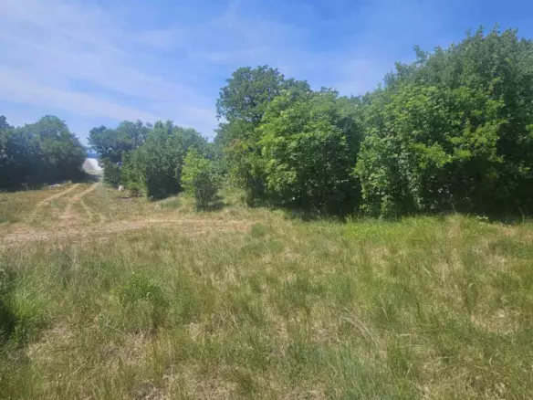 Land In Krasica, Croatia (2.160 M²)