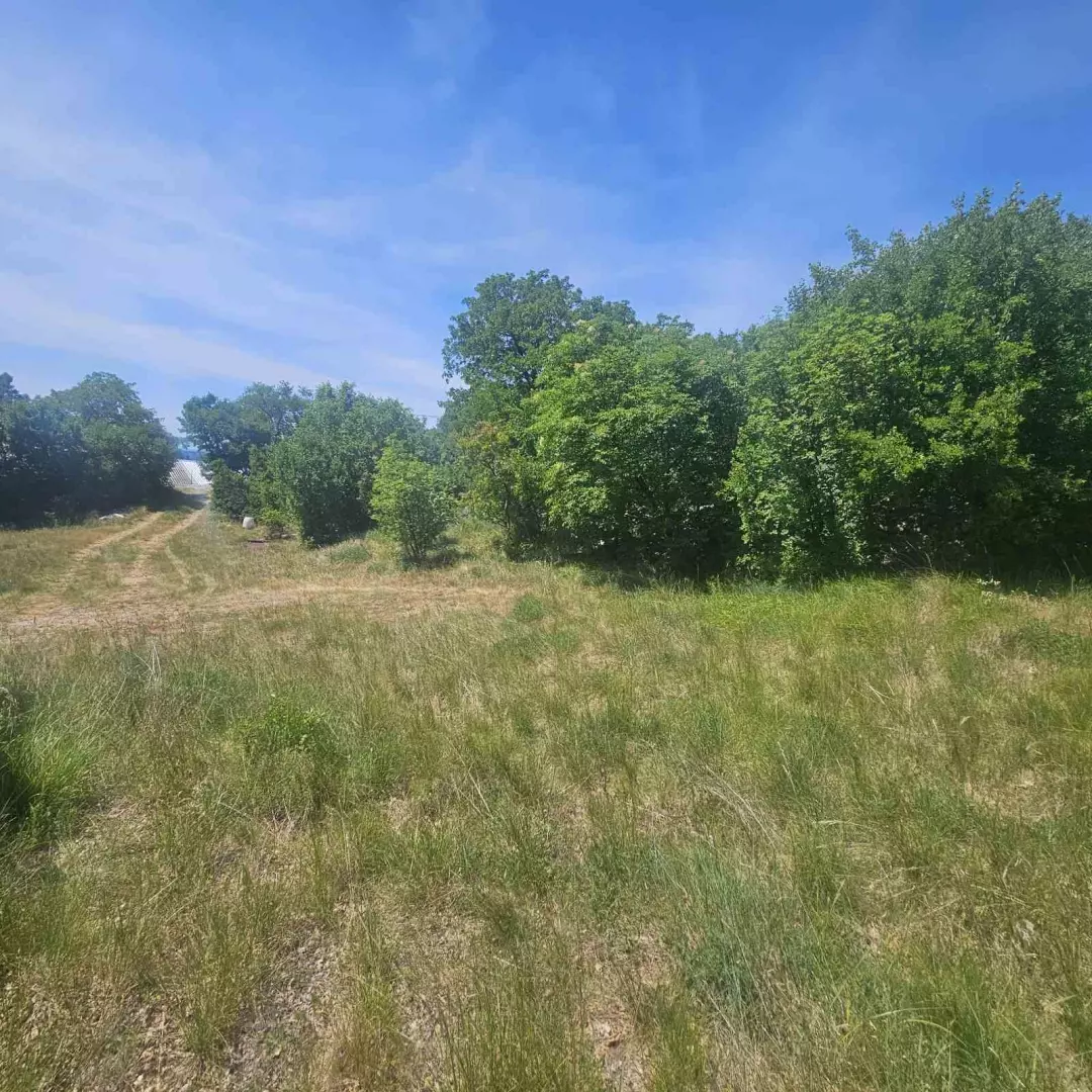Land In Krasica, Croatia (2.160 M²)