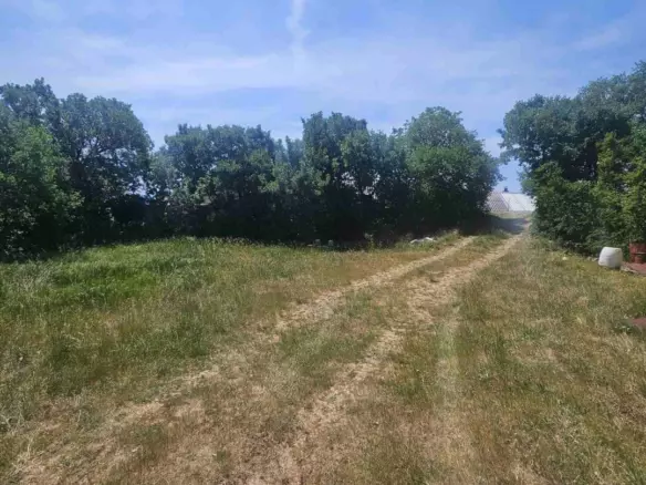 Land In Krasica, Croatia (2.160 M²)