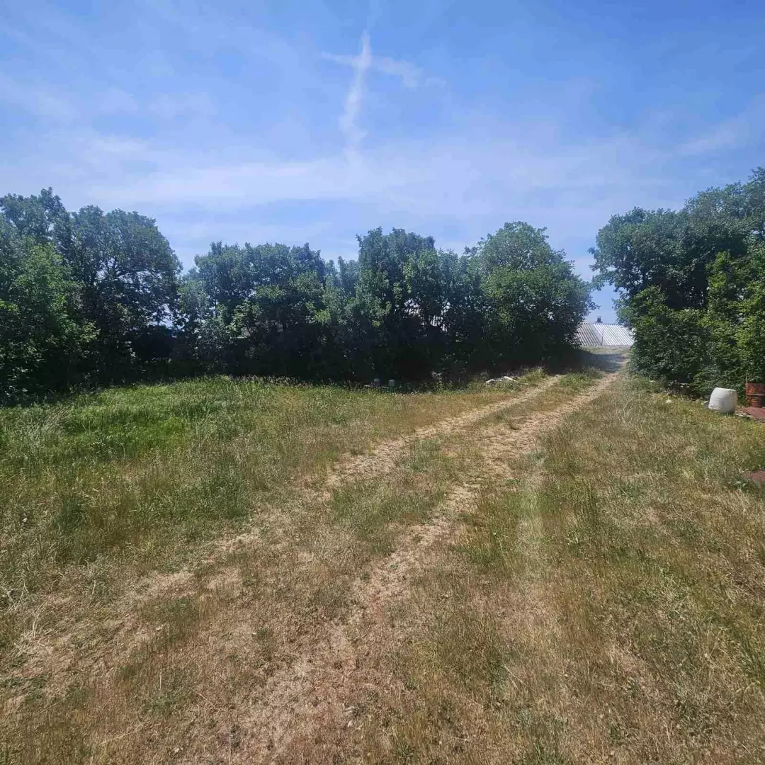 Land In Krasica, Croatia (2.160 M²)