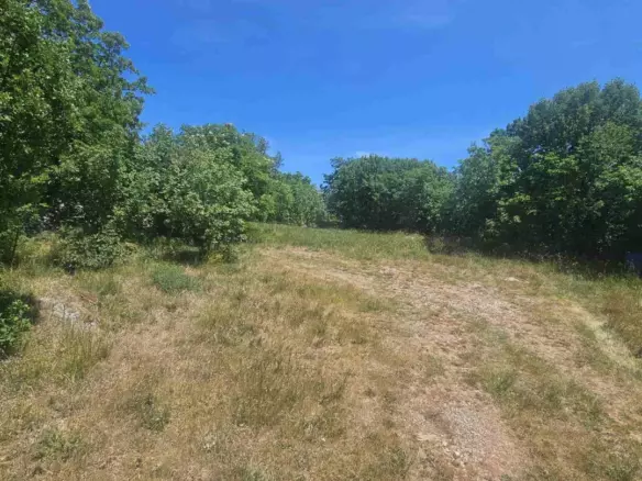 Land In Krasica, Croatia (2.160 M²)