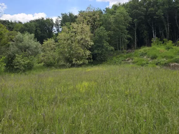 Land In Pićan, Croatia (1.818 M²)