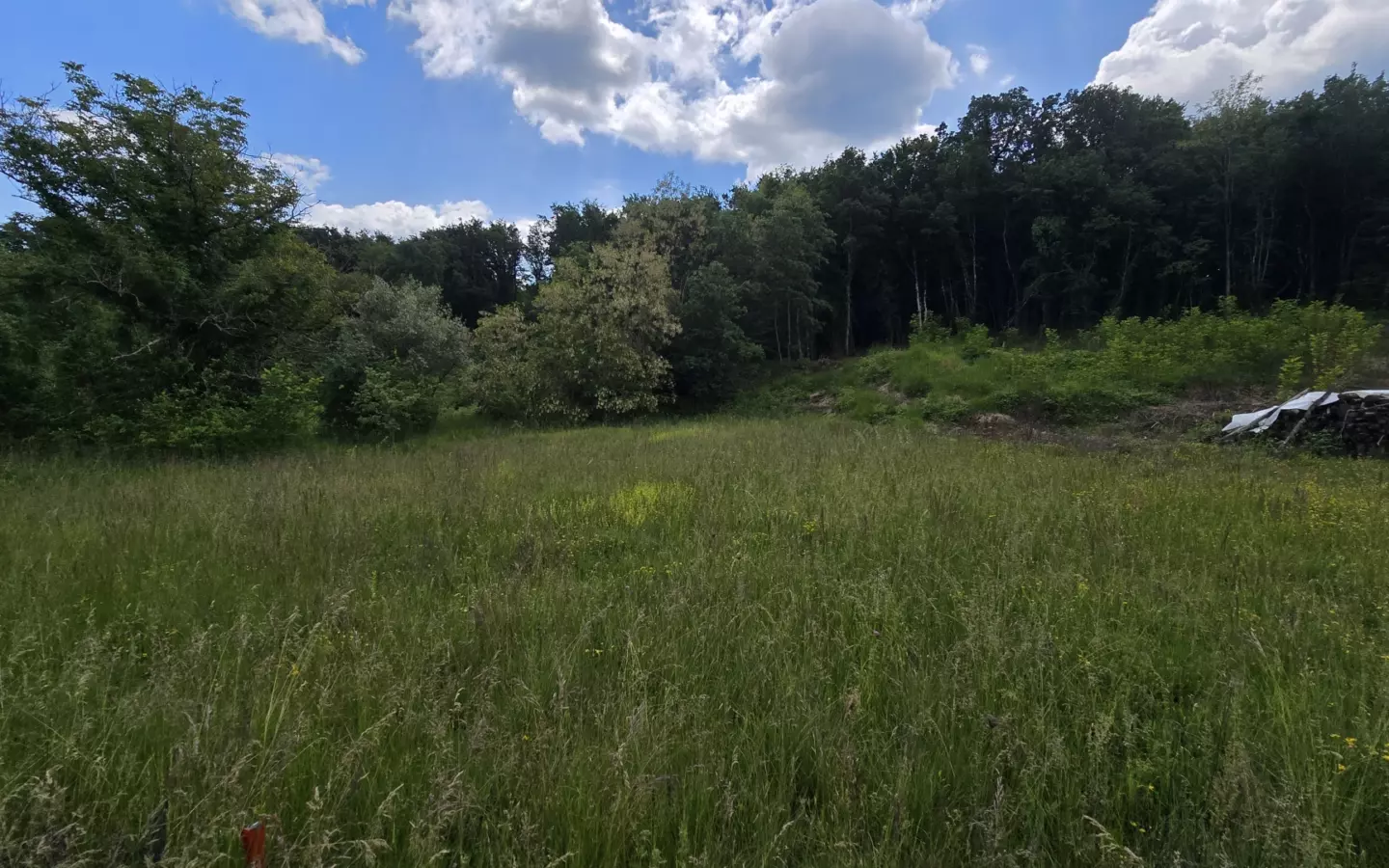 Land In Pićan, Croatia (1.818 M²)
