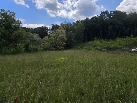 Land In Pićan, Croatia (1.818 M²)