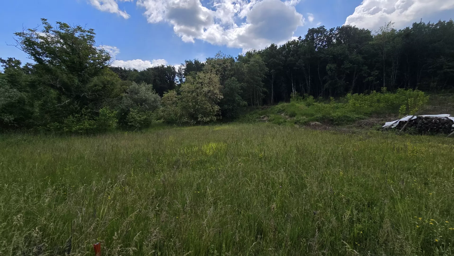 Land In Pićan, Croatia (1.818 M²)