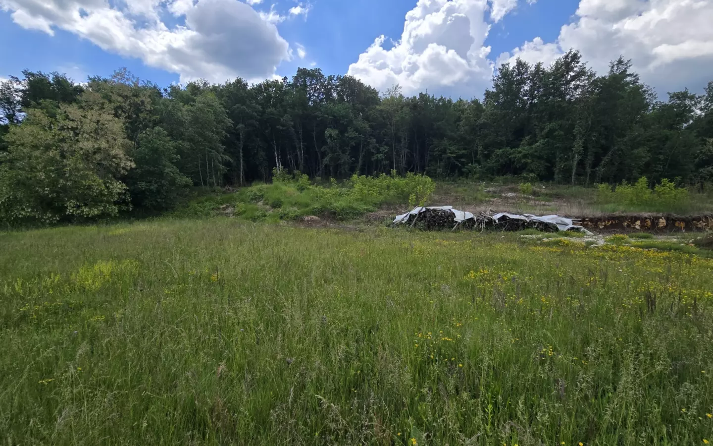 Land In Pićan, Croatia (1.818 M²)