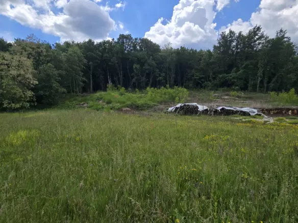 Land In Pićan, Croatia (1.818 M²)