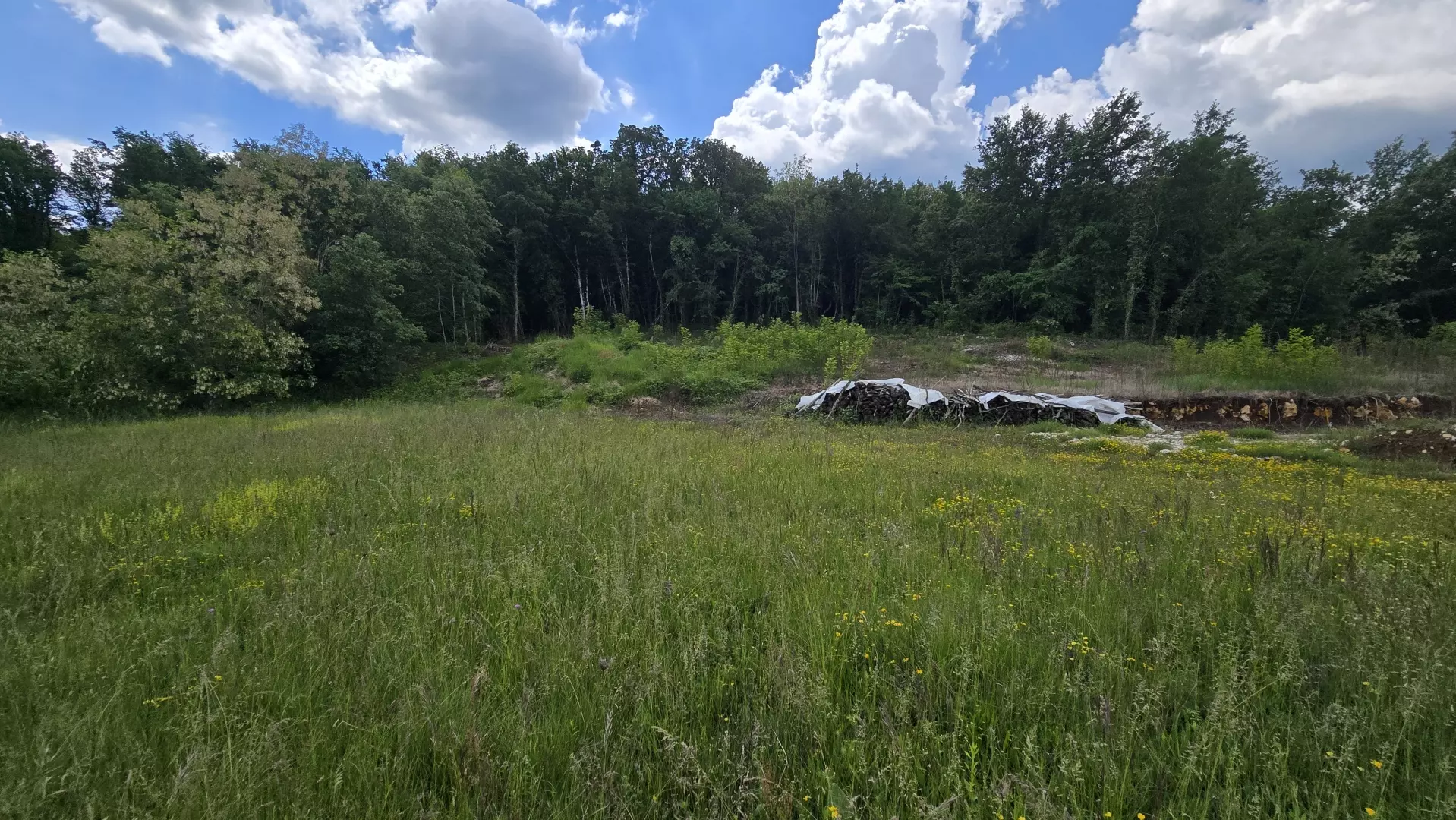 Land In Pićan, Croatia (1.818 M²)