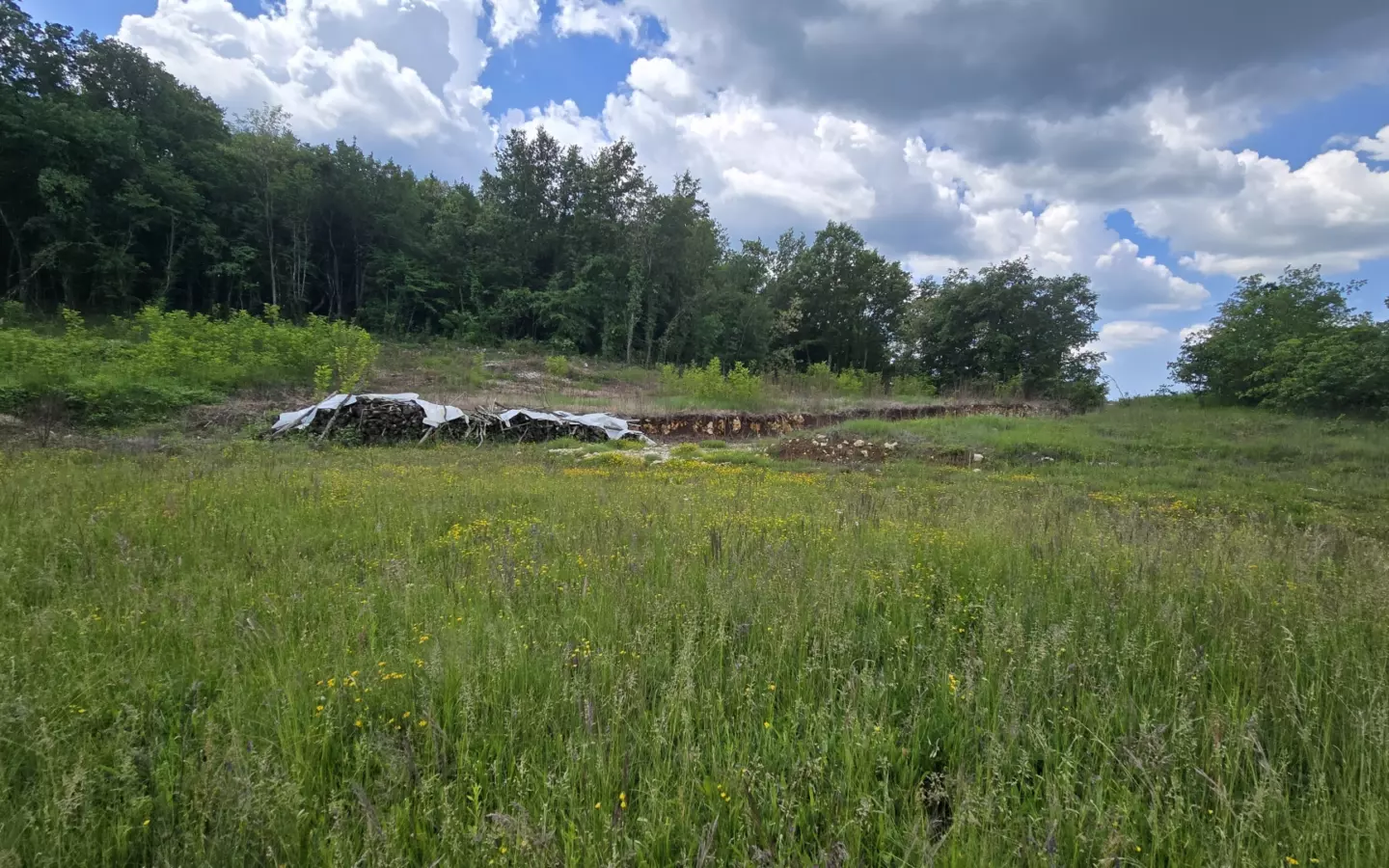 Land In Pićan, Croatia (1.818 M²)