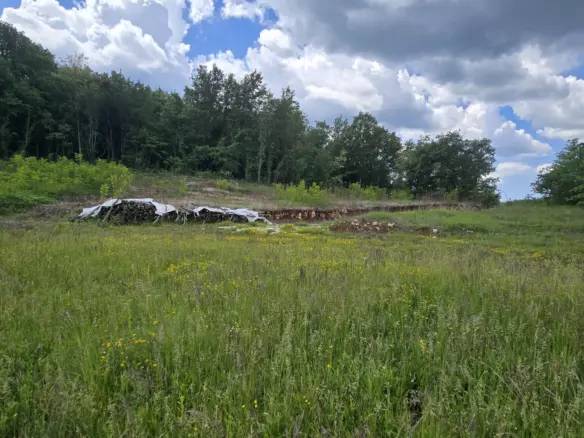 Land In Pićan, Croatia (1.818 M²)