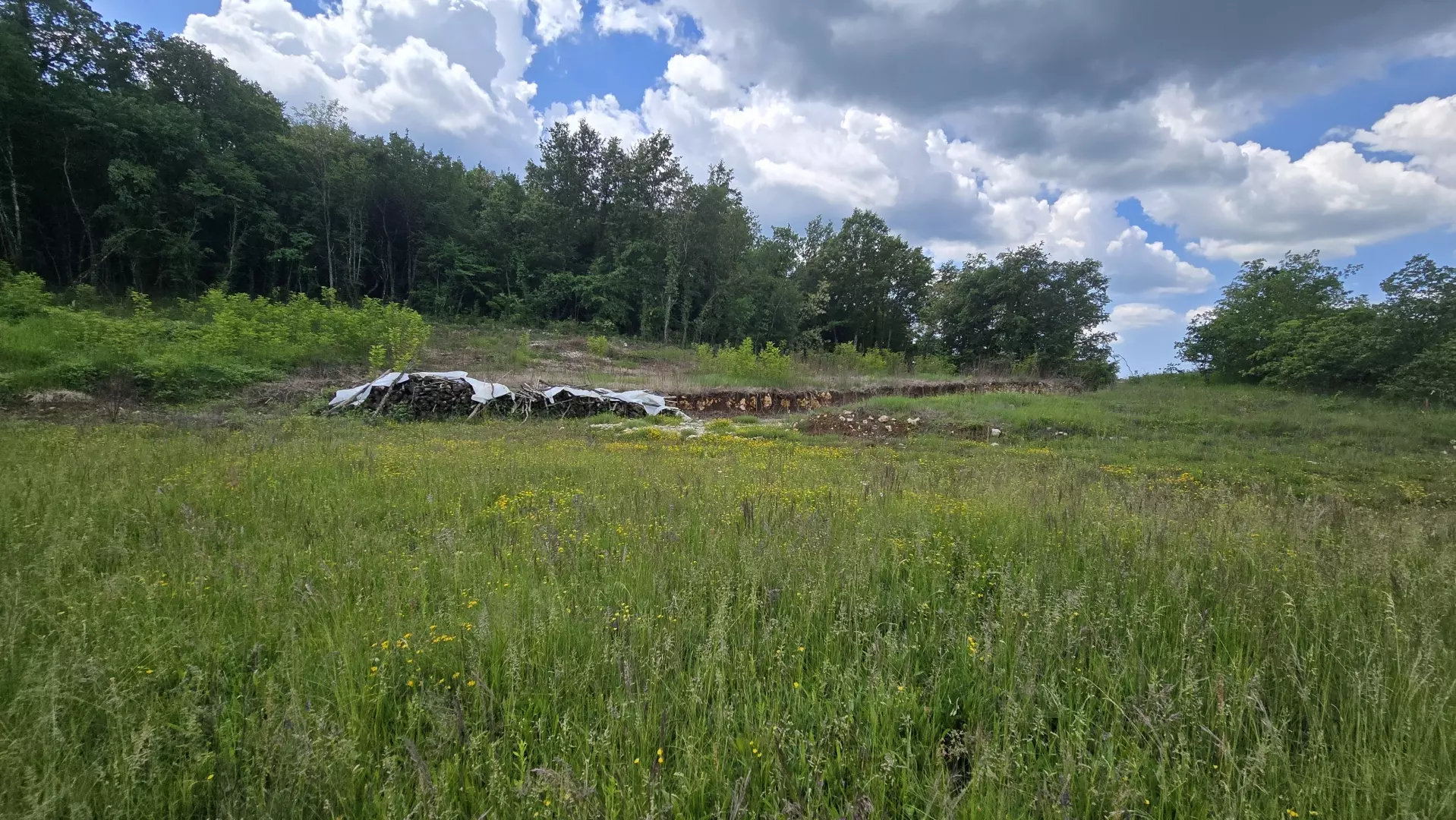 Land In Pićan, Croatia (1.818 M²)