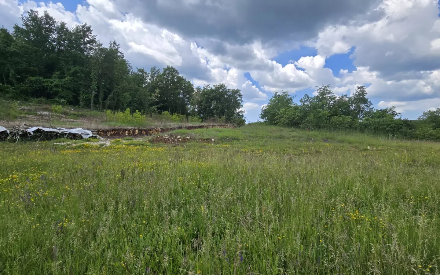 Land In Pićan, Croatia (1.818 M²)