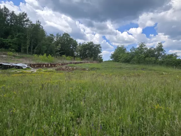 Land In Pićan, Croatia (1.818 M²)
