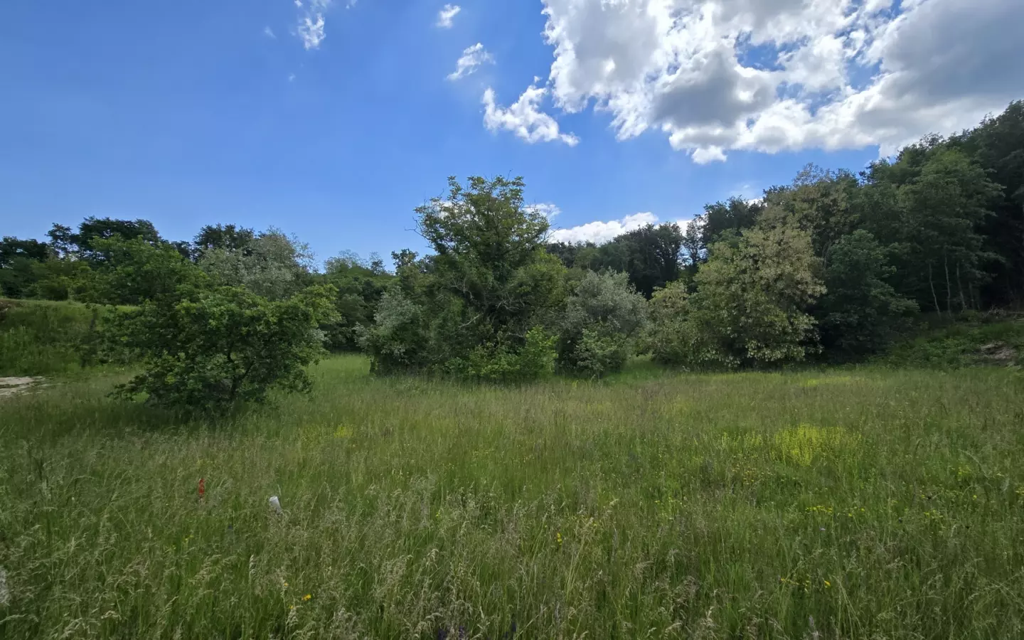 Land In Pićan, Croatia (1.818 M²)