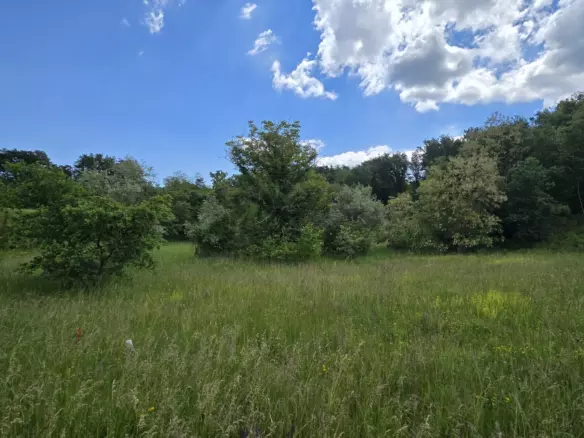 Land In Pićan, Croatia (1.818 M²)