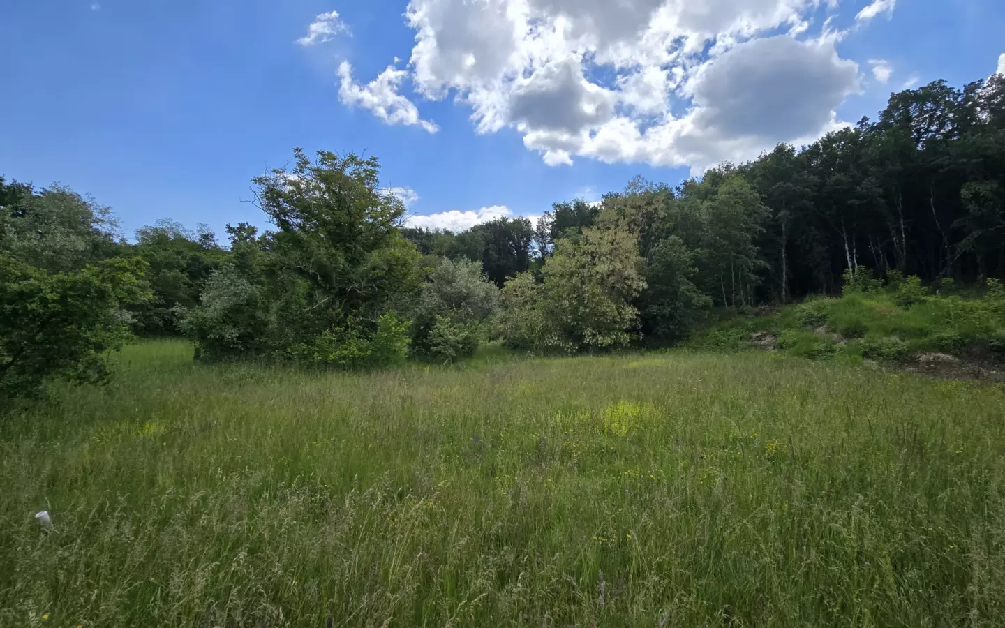 Land In Pićan, Croatia (1.818 M²)