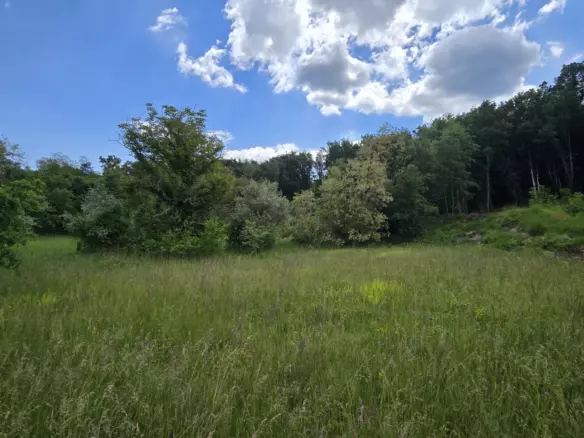 Land In Pićan, Croatia (1.818 M²)
