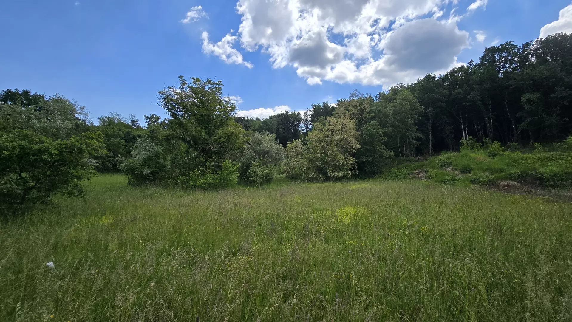 Land In Pićan, Croatia (1.818 M²)