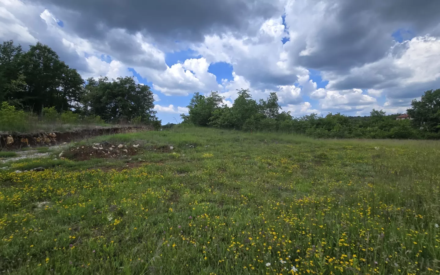 Land In Pićan, Croatia (1.818 M²)