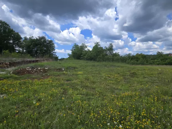 Land In Pićan, Croatia (2.665 M²)