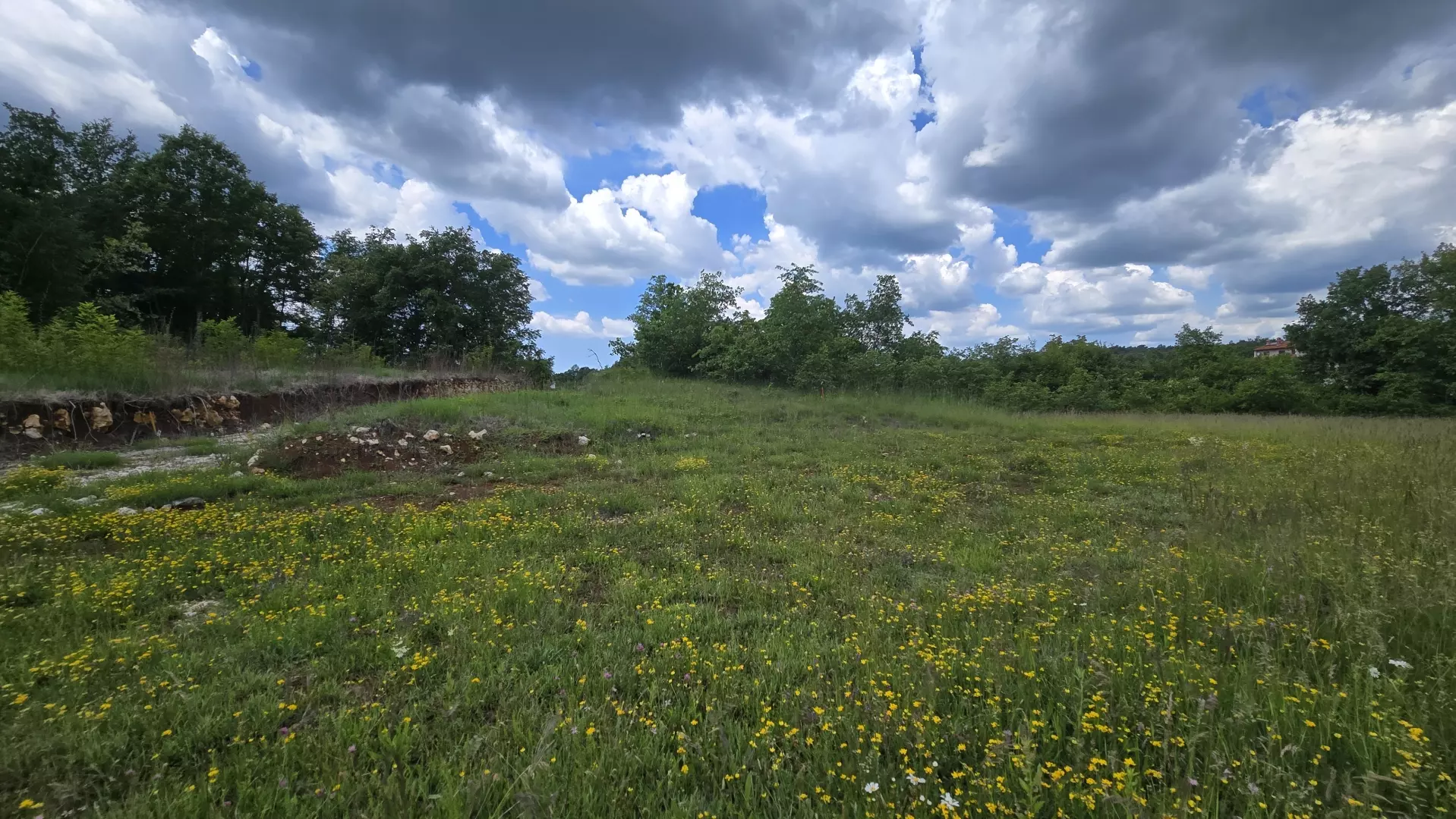 Land In Pićan, Croatia (1.818 M²)
