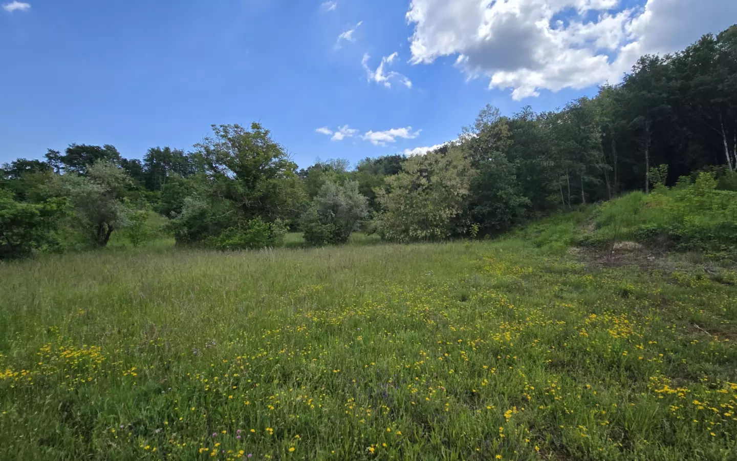 Land In Pićan, Croatia (1.818 M²)