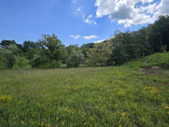 Land In Pićan, Croatia (1.818 M²)